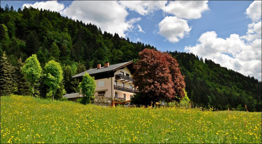 Отель Enzianbrenner Ениг Экстерьер фото