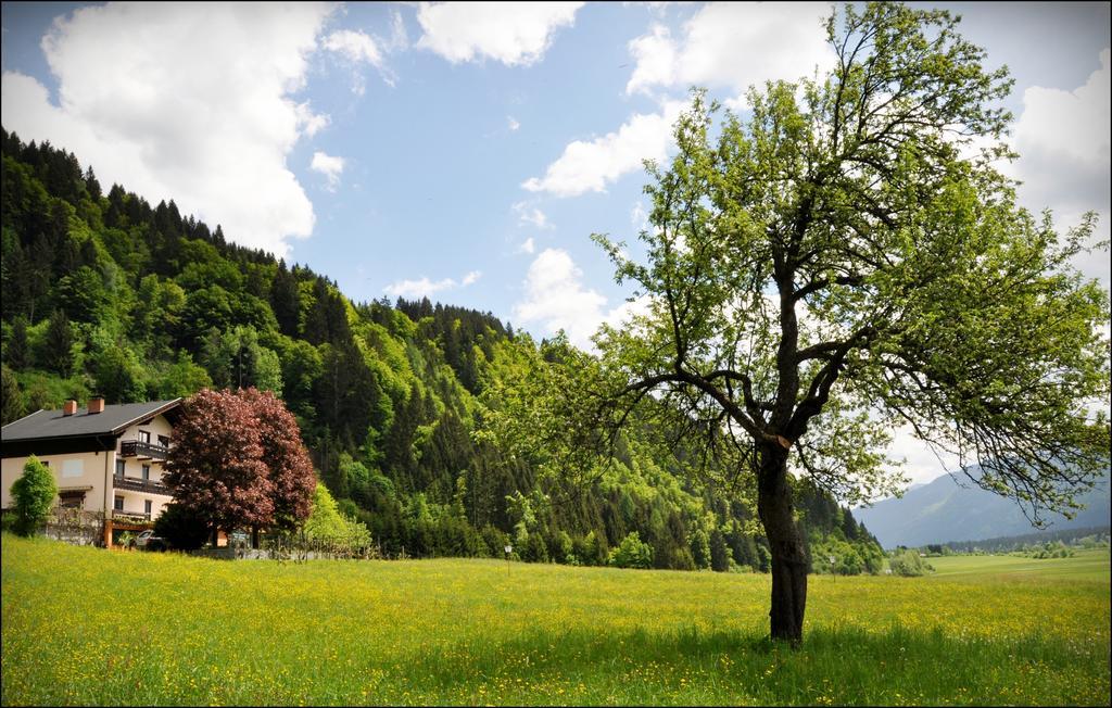 Отель Enzianbrenner Ениг Экстерьер фото