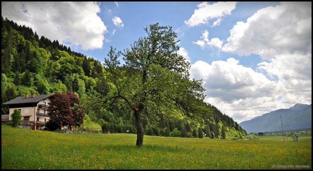 Отель Enzianbrenner Ениг Экстерьер фото