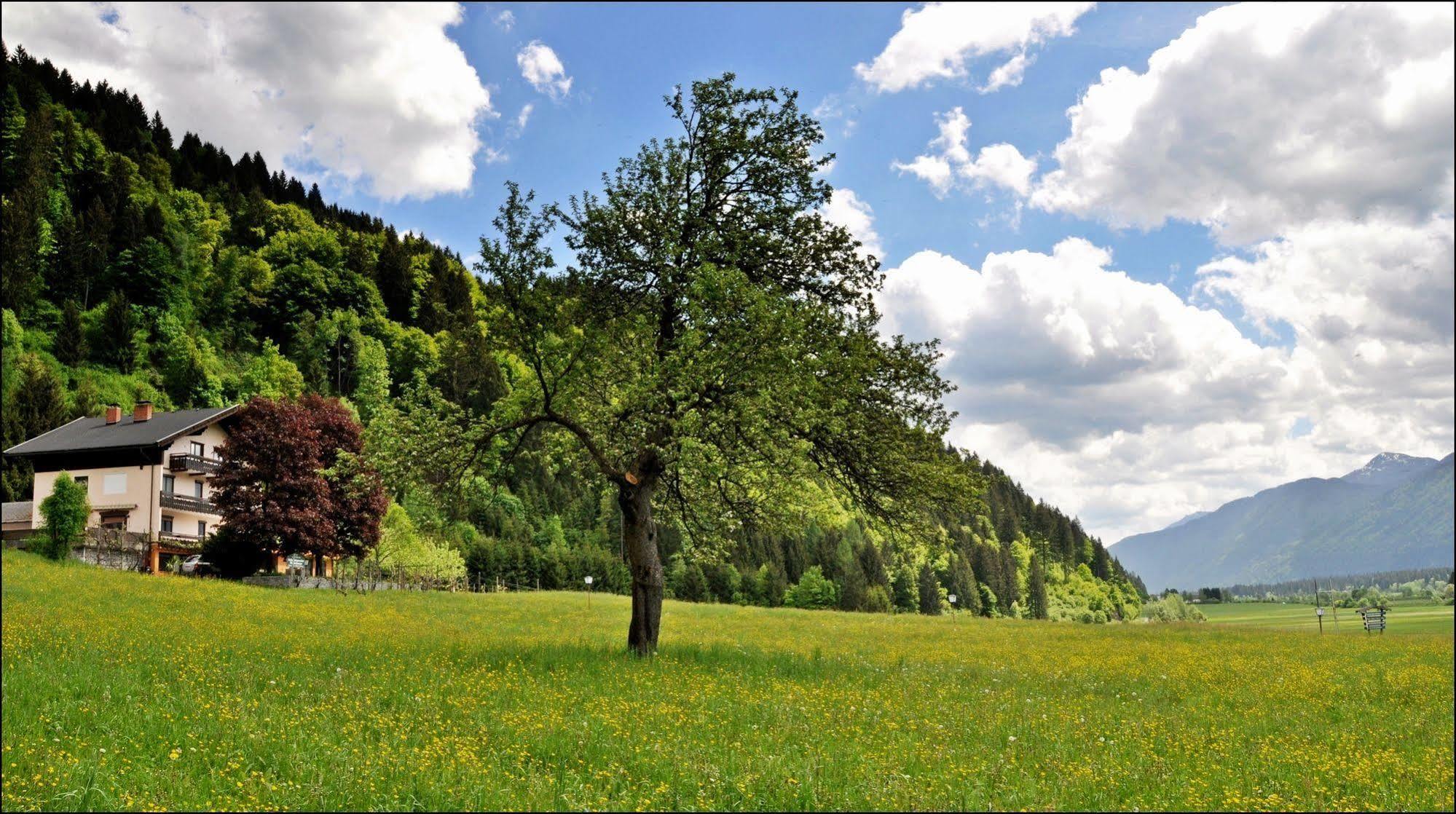 Отель Enzianbrenner Ениг Экстерьер фото
